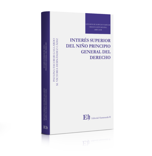 INTERÉS SUPERIOR DEL NIÑO PRINCIPIO GENERAL DEL DERECHO