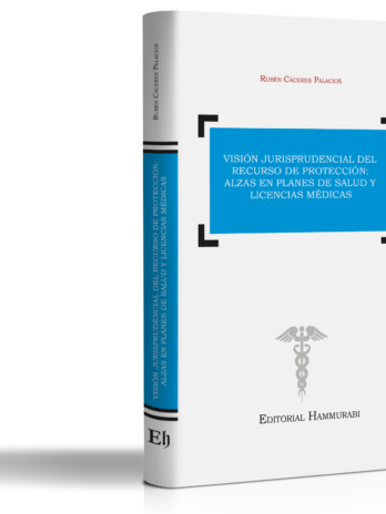 VISIÓN JURISPRUDENCIAL DEL RECURSO DE PROTECCIÓN: ALZAS EN PLANES DE SALUD Y LICENCIAS MÉDICAS