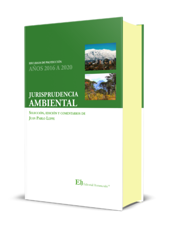 JURISPRUDENCIA AMBIENTAL: RECURSOS DE PROTECCIÓN AÑOS 2016 A 2020