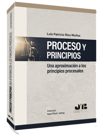 Proceso y Principios