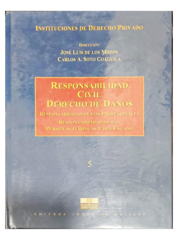 RESPONSABILIDAD CIVIL – DERECHO DE DAÑOS – RESPONSABILIDAD DE LOS PROFESIONALES