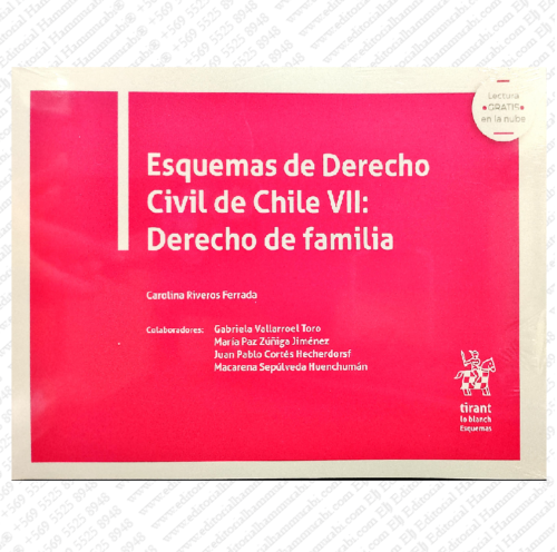 ESQUEMAS DE DERECHO CIVIL DE CHILE VII: DERECHO DE FAMILIA