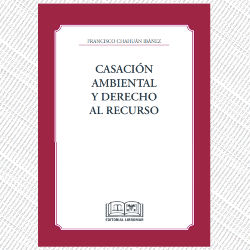 CASACIÓN AMBIENTAL Y DERECHO AL RECURSO