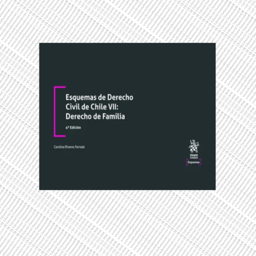 ESQUEMAS DE DERECHO CIVIL DE CHILE VII: DERECHO DE FAMILIA 4ª EDICIÓN