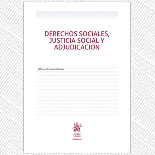 DERECHOS SOCIALES, JUSTICIA SOCIAL Y ADJUDICACIÓN