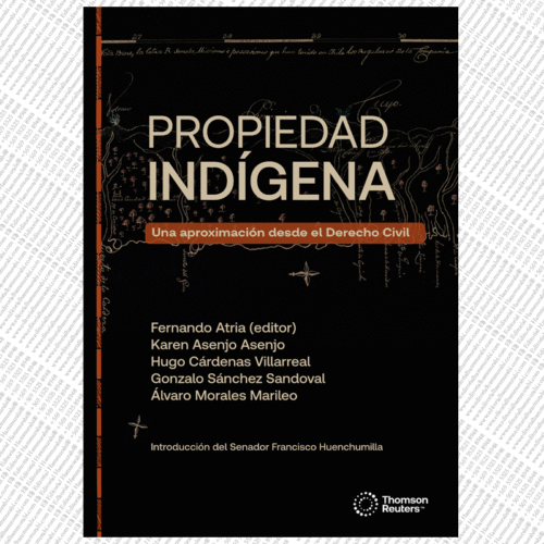 PROPIEDAD INDÍGENA. UNA APROXIMACIÓN DESDE EL DERECHO CIVIL
