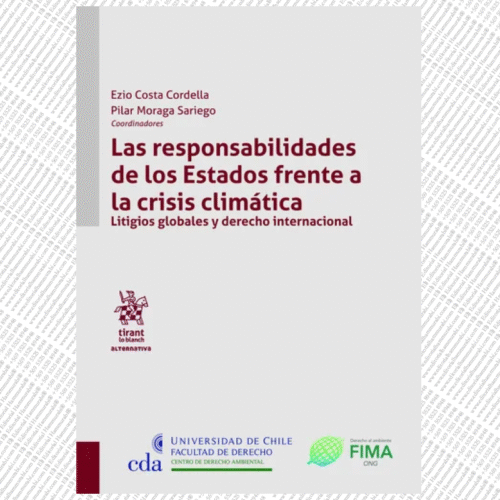 LAS RESPONSABILIDADES DE LOS ESTADOS FRENTE A LA CRISIS CLIMÁTICA, LITIGIOS GLOBALES Y DERECHO INTERNACIONAL