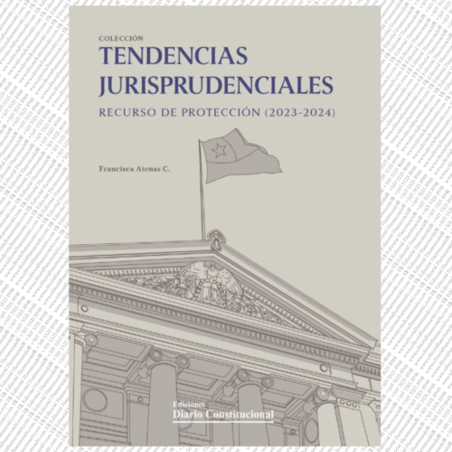 Tendencias jurisprudenciales. Recurso de protección (2023-2024)