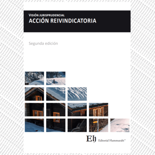 Visión jurisprudencial ACCIÓN REIVINDICATORIA Segunda edición