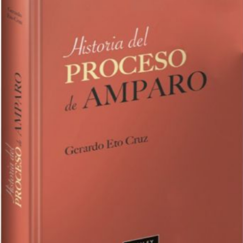 HISTORIA DEL PROCESO DE AMPARO