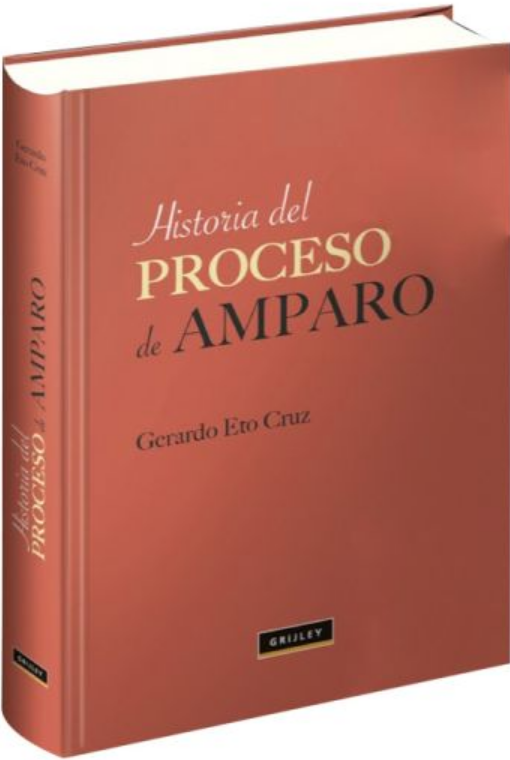 HISTORIA DEL PROCESO DE AMPARO