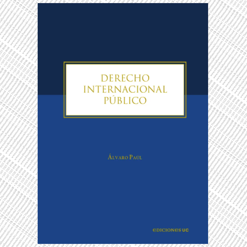 DERECHO INTERNACIONAL PÚBLICO