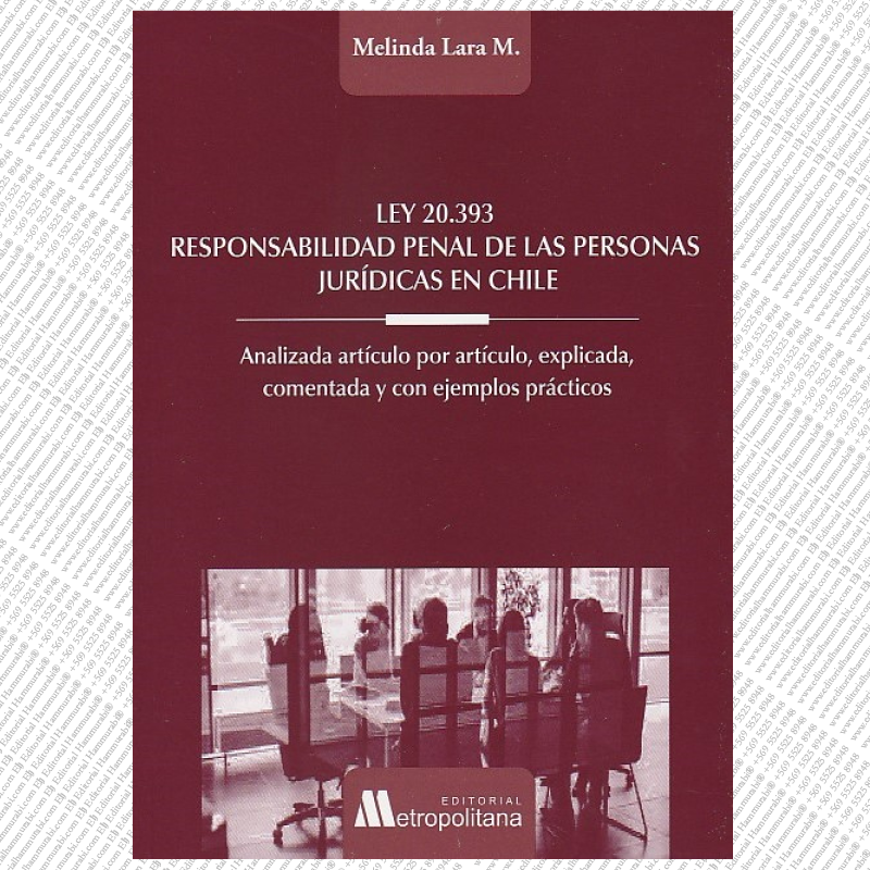 LEY 20.393 RESPONSABILIDAD PENAL DE LAS PERSONAS JURÍDICAS EN CHILE
