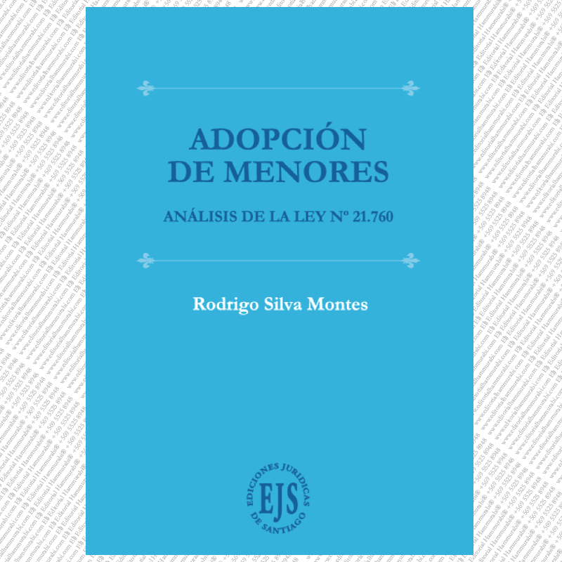 ADOPCIÓN DE MENORES, Análisis de la Ley N° 21.760