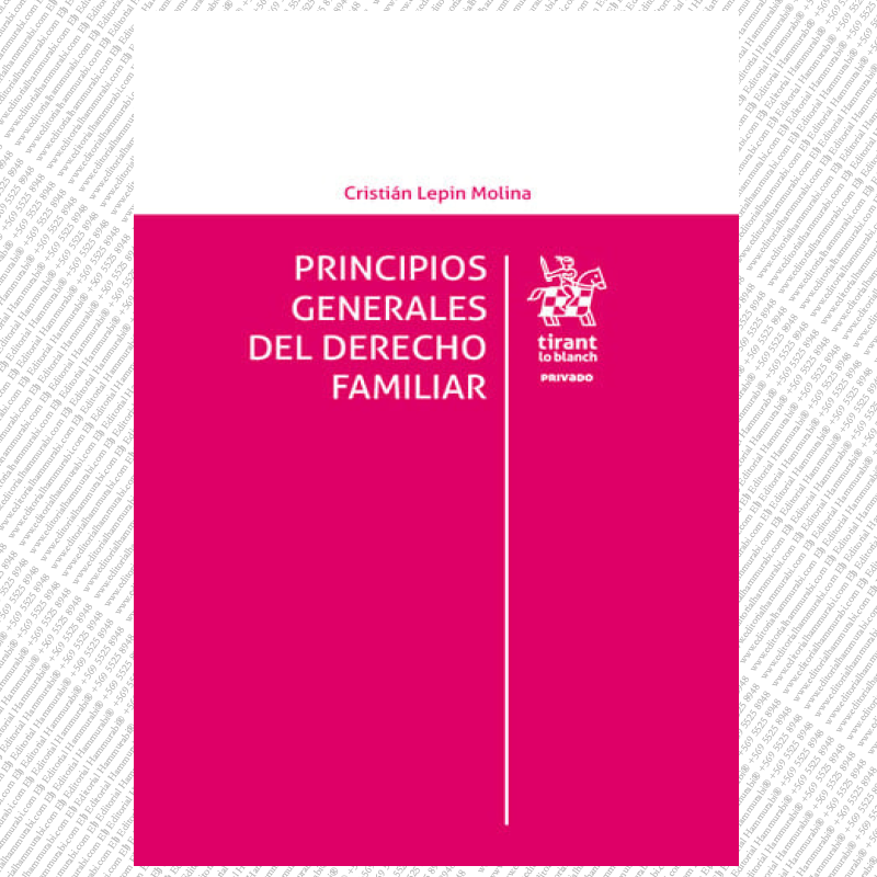 PRINCIPIOS GENERALES DEL DERECHO FAMILIAR