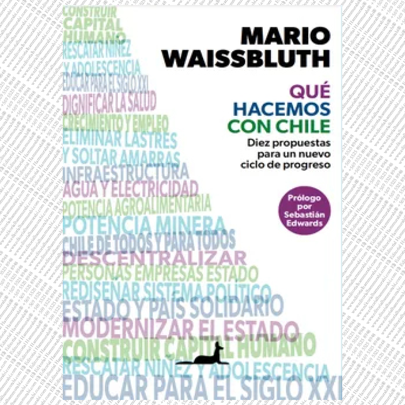 QUE HACEMOS CON CHILE. Diez propuestas para un nuevo ciclo de progreso