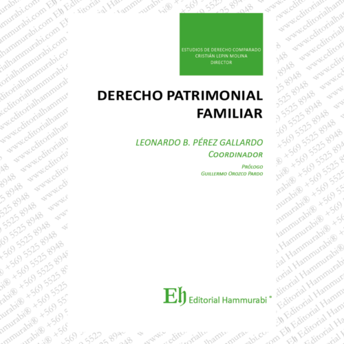 DERECHO PATRIMONIAL FAMILIAR