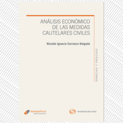 ANÁLISIS ECONÓMICO DE LAS MEDIDAS CAUTELARES CIVILES
