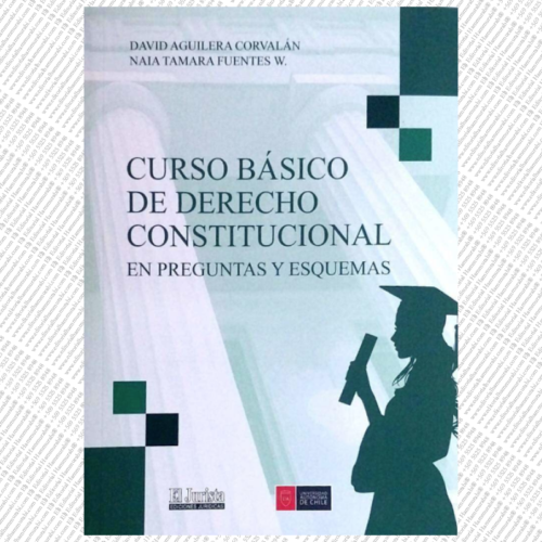 CURSO BÁSICO DE DERECHO CONSTITUCIONAL EN PREGUNTAS Y ESQUEMAS