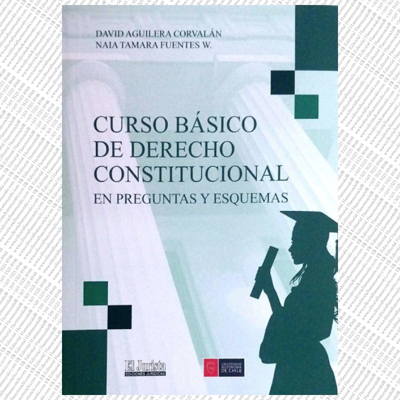 CURSO BÁSICO DE DERECHO CONSTITUCIONAL EN PREGUNTAS Y ESQUEMAS