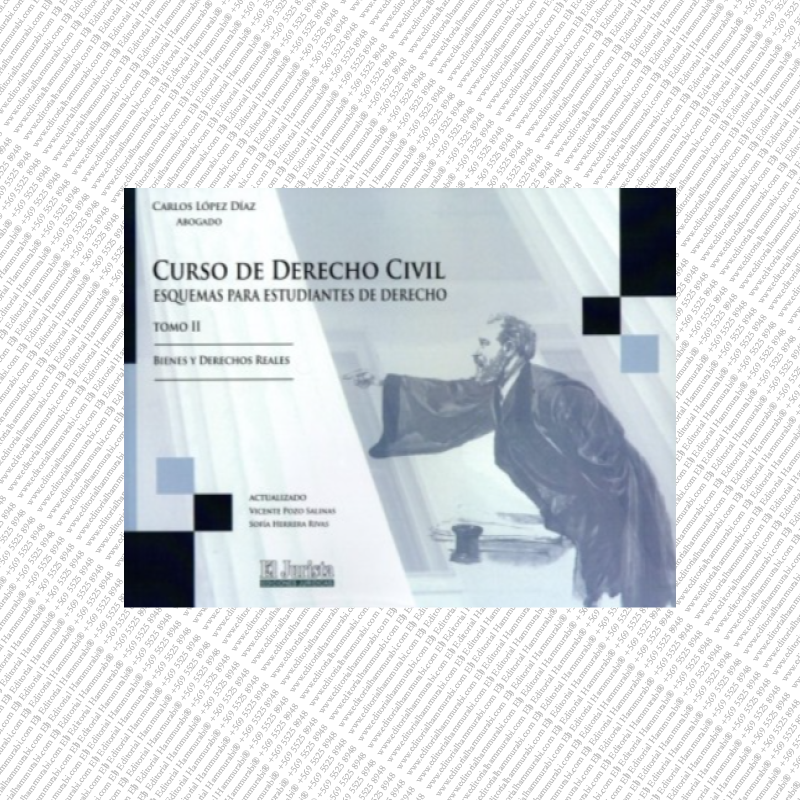 CURSO DE DERECHO CIVIL - TOMO II - BIENES Y DERECHOS REALES - ESQUEMAS PARA ESTUDIANTES DE DERECHO