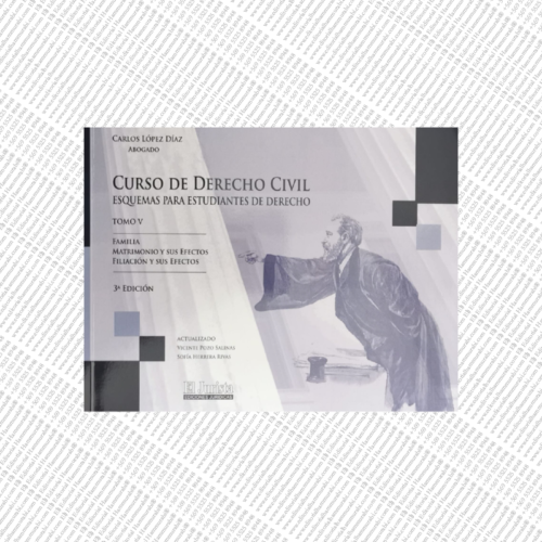 CURSO DE DERECHO CIVIL. Tomo VI – Esquemas para Estudiantes de Derecho