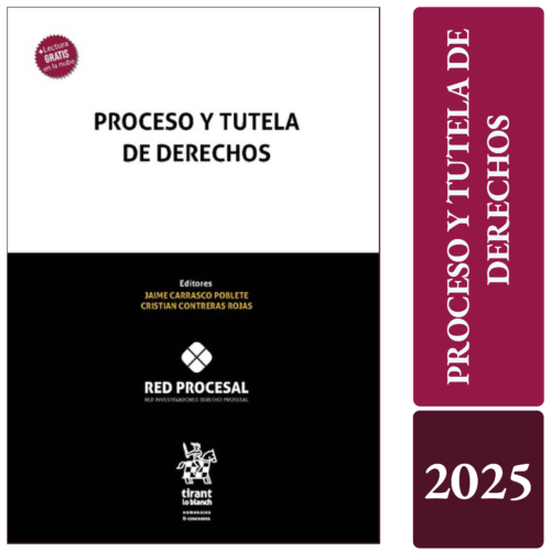 PROCESO Y TUTELA DE DERECHOS