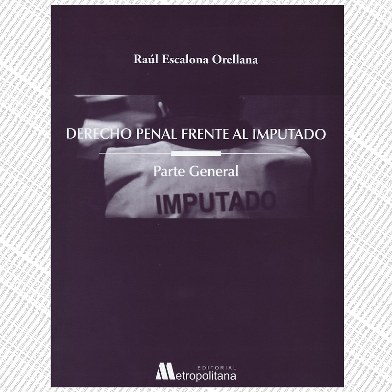 DERECHO PENAL FRENTE AL IMPUTADO PARTE GENERAL