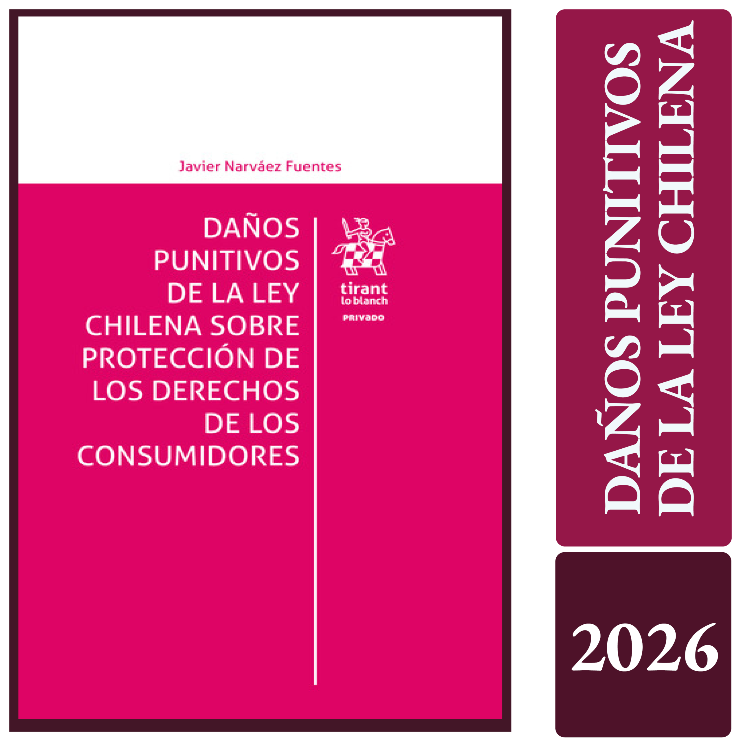 DAÑOS PUNITIVOS DE LA LEY CHILENA SOBRE PROTECCIÓN DE LOS DERECHOS DE LOS CONSUMIDORES