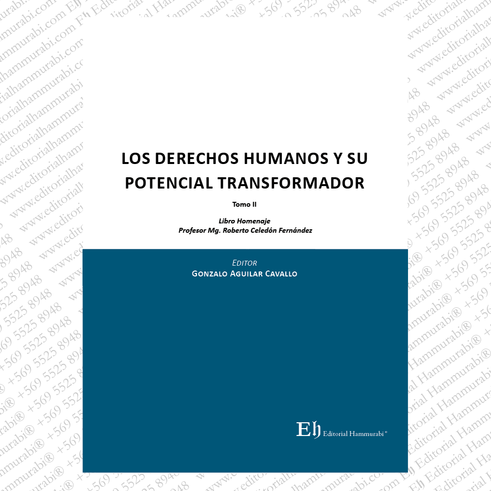 LOS DERECHOS HUMANOS Y SU POTENCIAL TRANSFORMADOR Edición de lujo - Imagen 3