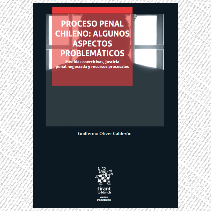 PROCESO PENAL CHILENO: ALGUNOS ASPECTOS PROBLEMÁTICOS - MEDIDAS COERCITIVAS, JUSTICIA PENAL NEGOCIADA Y RECURSOS PROCESALES
