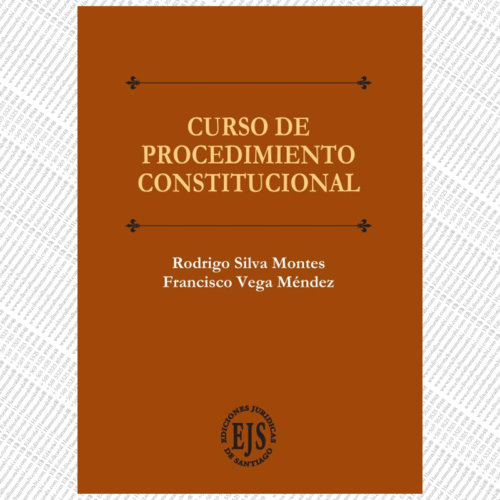 CURSO DE PROCEDIMIENTO CONSTITUCIONAL
