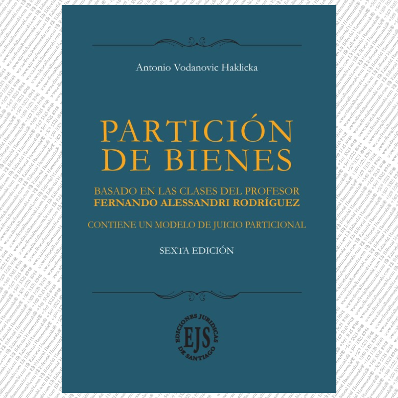 PARTICIÓN DE BIENES, Explicaciones de Clases del Profesor Alessandri