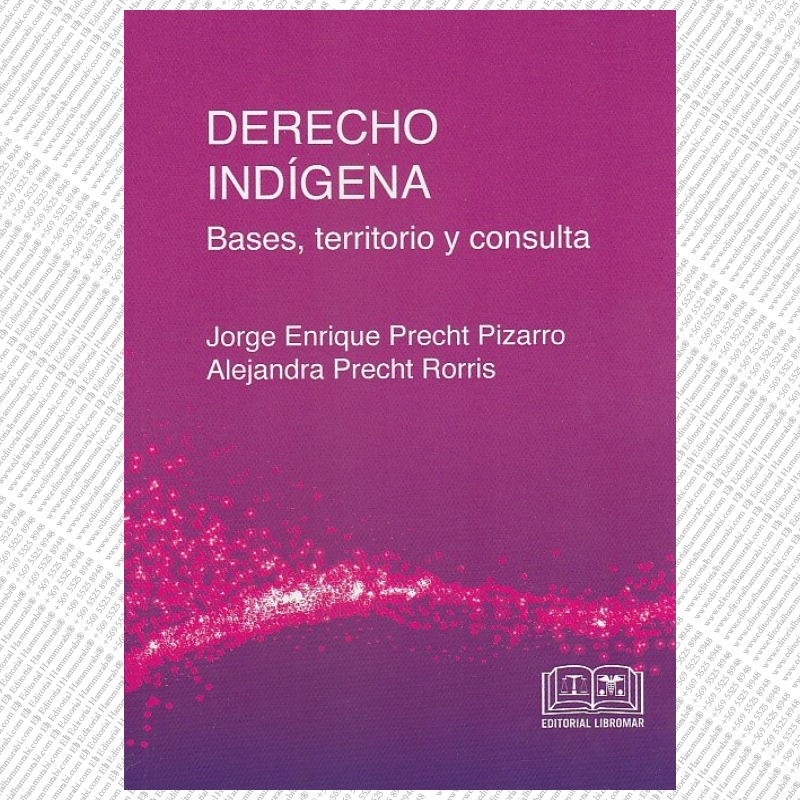 DERECHO INDÍGENA - bases, territorio y consulta