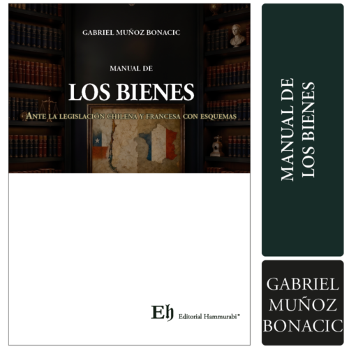 MANUAL DE LOS BIENES