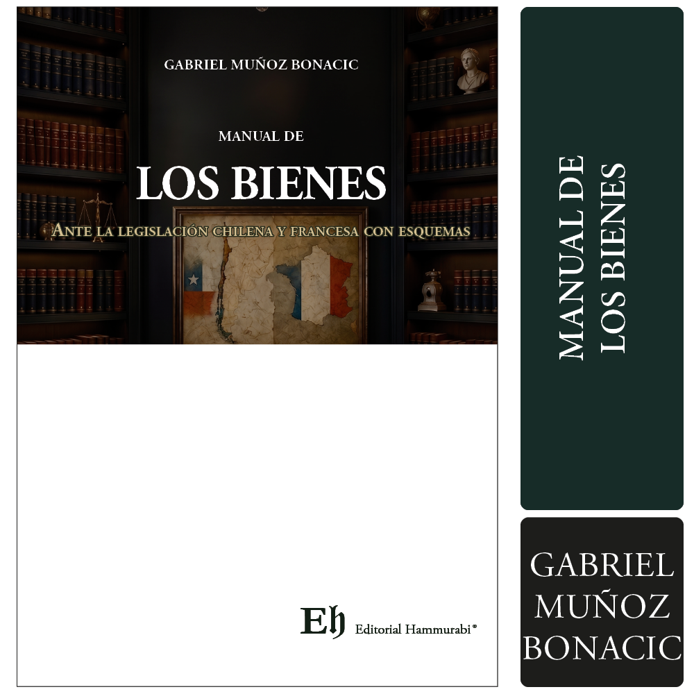 MANUAL DE LOS BIENES