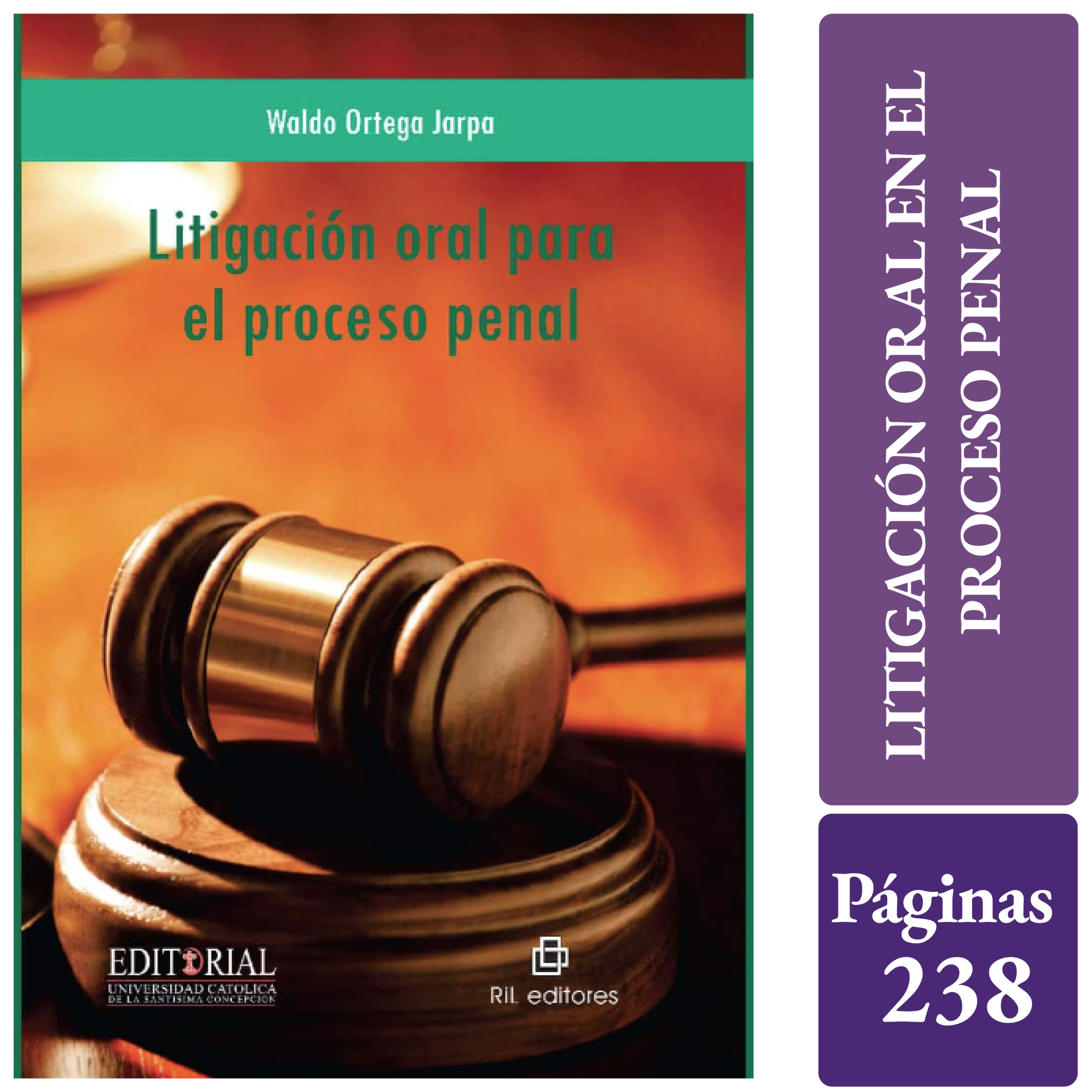 LITIGACIÓN ORAL EN EL PROCESO PENAL