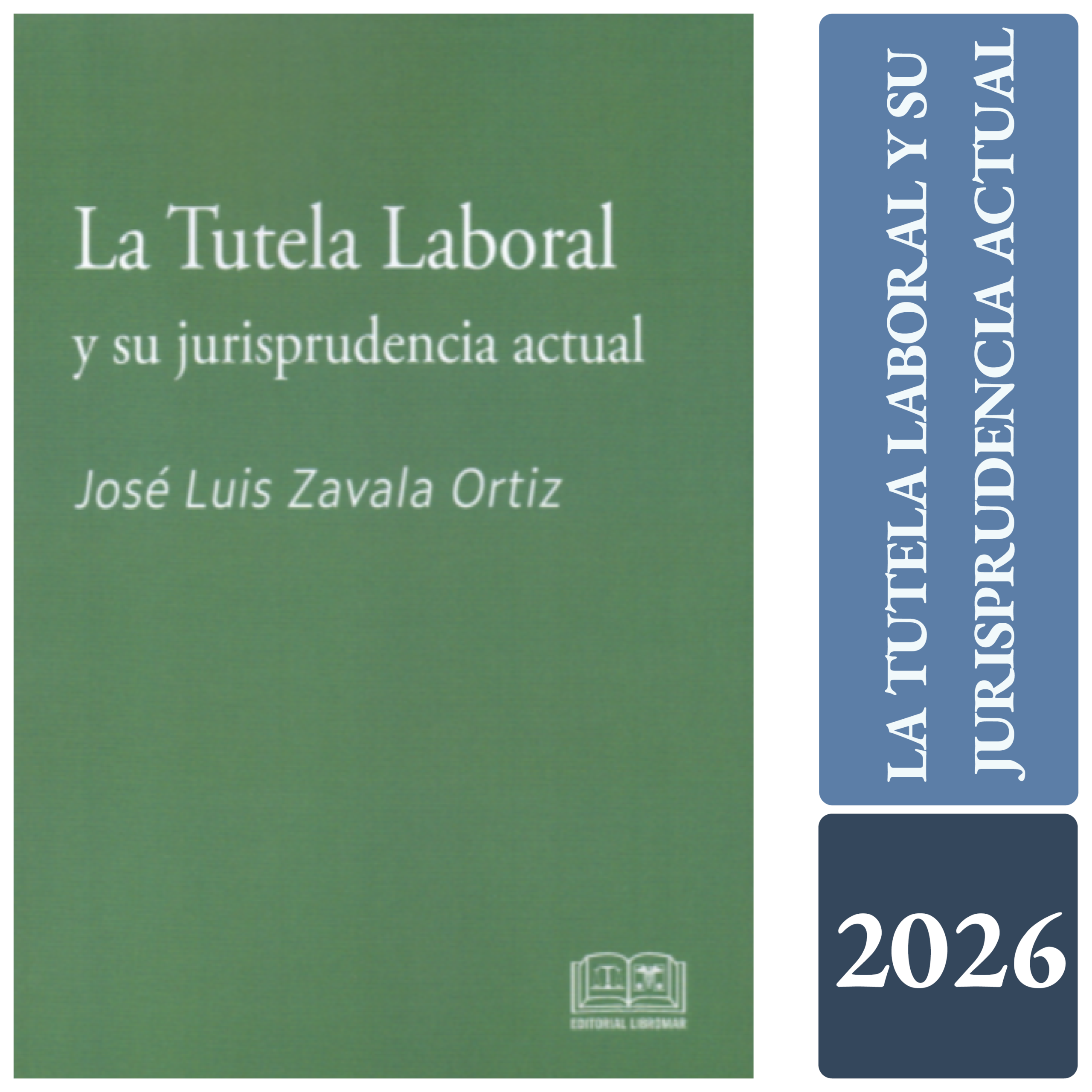 LA TUTELA LABORAL Y SU JURISPRUDENCIA ACTUAL
