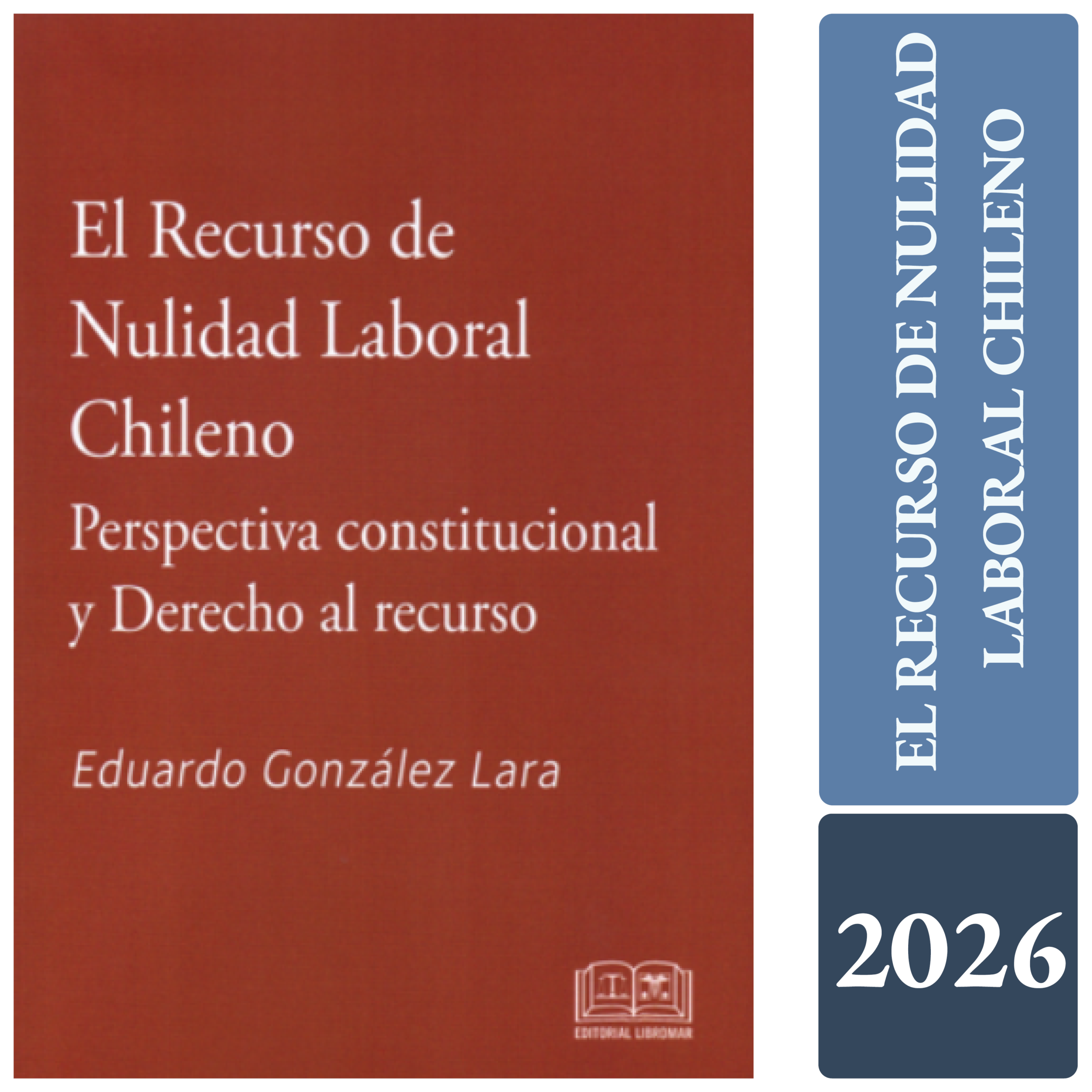 EL RECURSO DE NULIDAD LABORAL CHILENO - PERSPECTIVA CONSTITUCIONAL Y DERECHO AL RECURSO