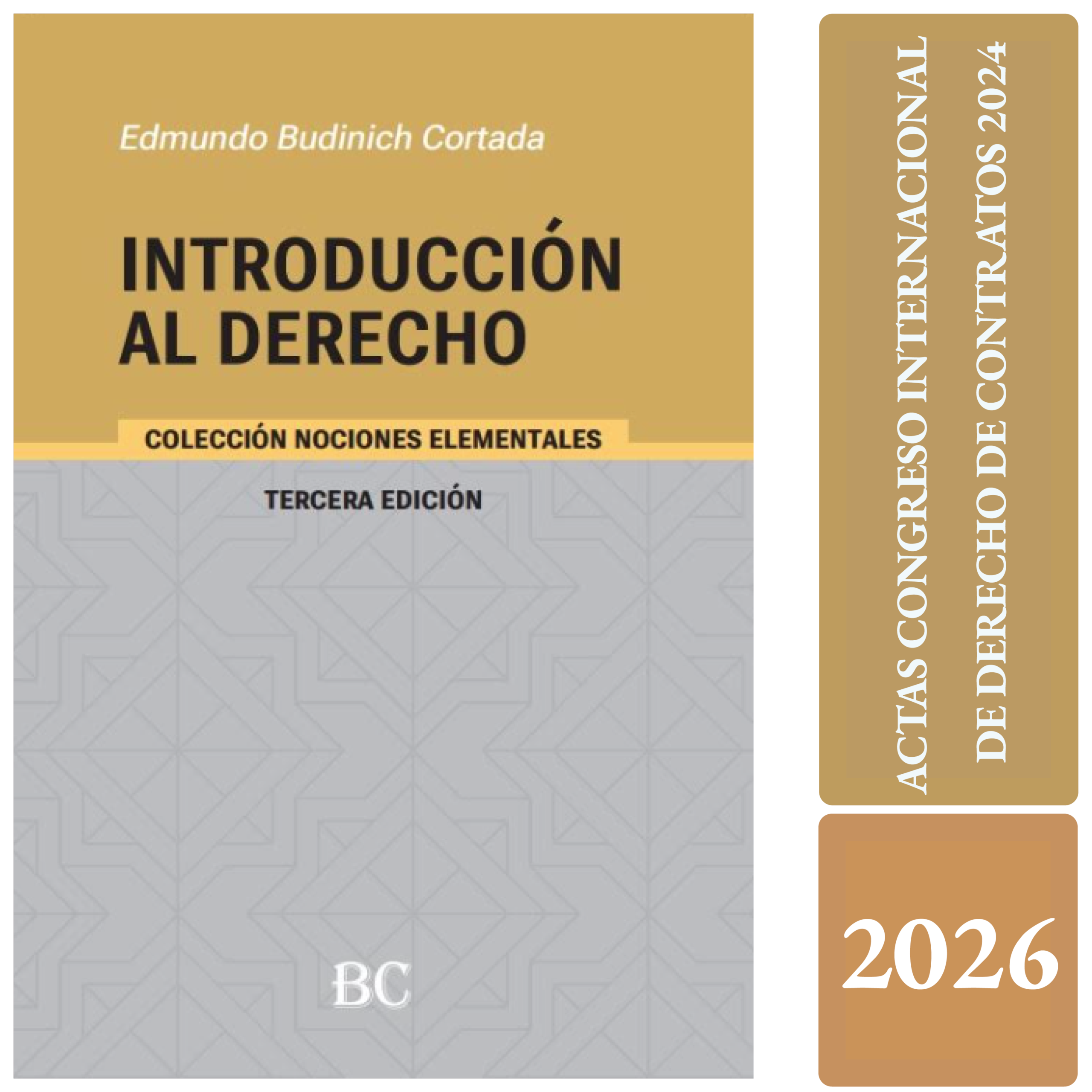 INTRODUCCIÓN AL DERECHO - tercera edición