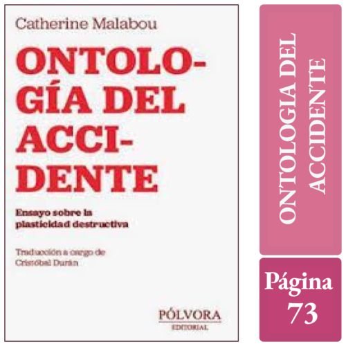 ONTOLOGÍA DEL ACCIDENTE. ENSAYO SOBRE LA PLASTICIDAD DESTRUCTIVA