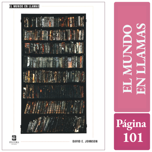 EL MUNDO EN LLAMAS - David E. Johnson