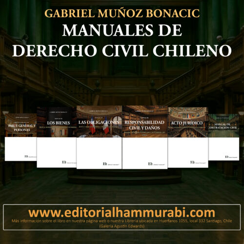 MANUALES DE DERECHO CIVIL