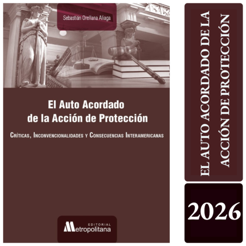 EL AUTO ACORDADO DE LA ACCIÓN DE PROTECCIÓN
