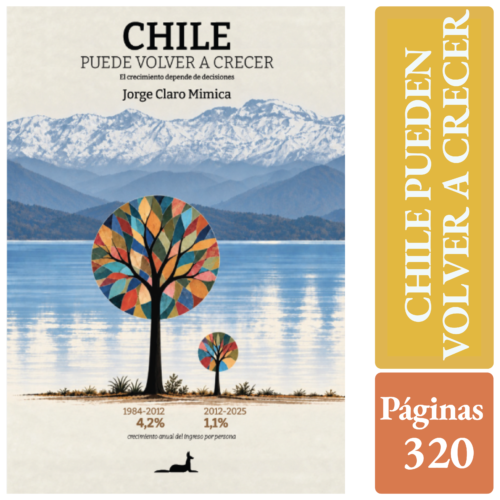 CHILE PUEDEN VOLVER A CRECER