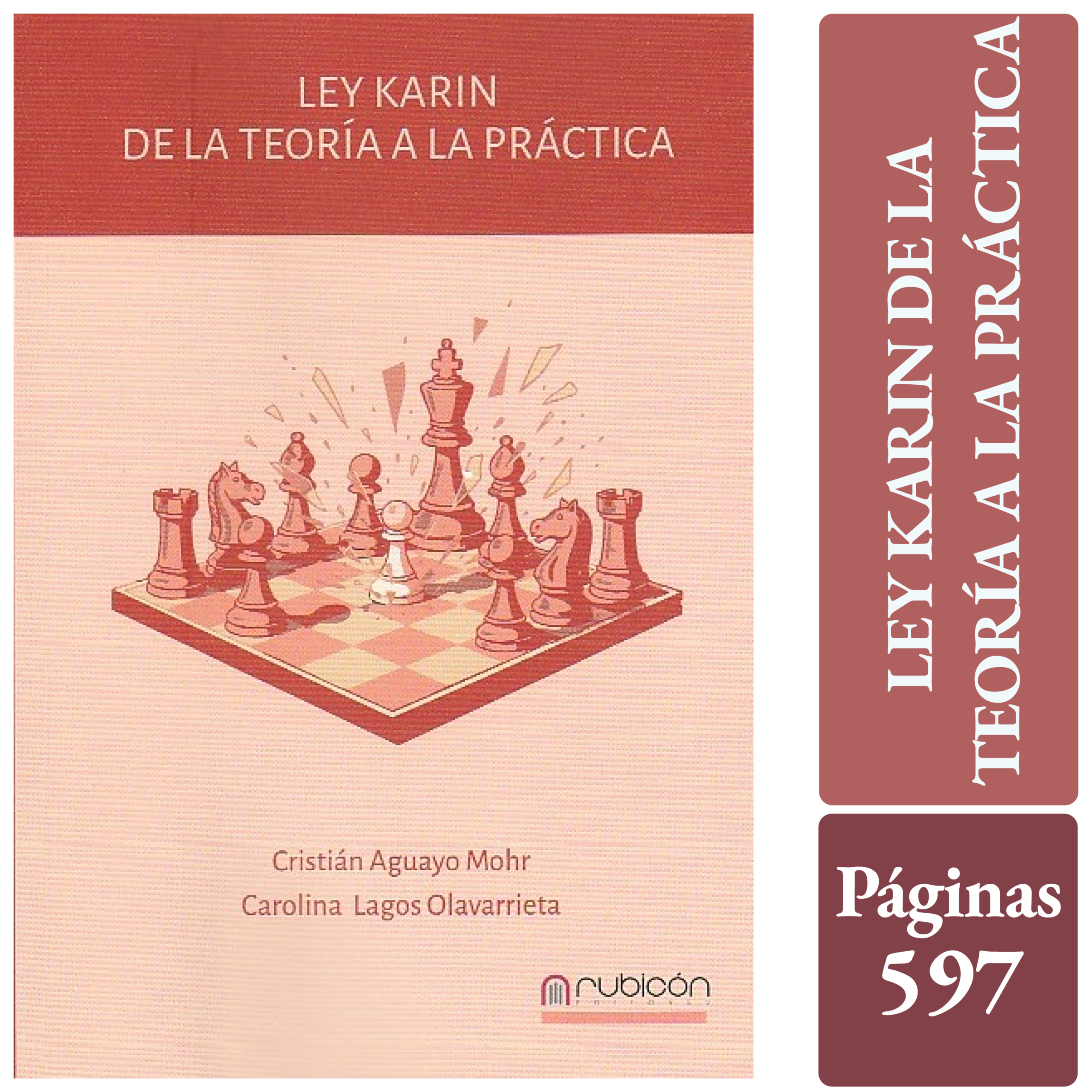 LEY KARIN - DE LA TEORÍA A LA PRÁCTICA