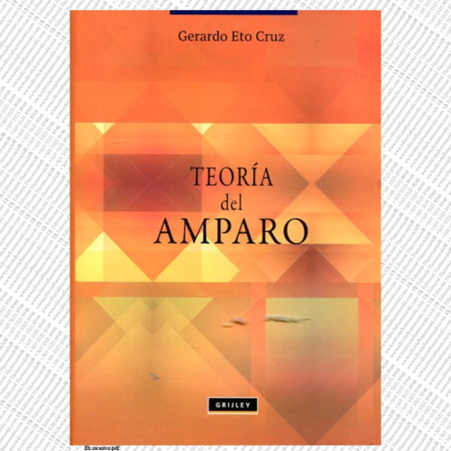 TEORÍA DEL AMPARO
